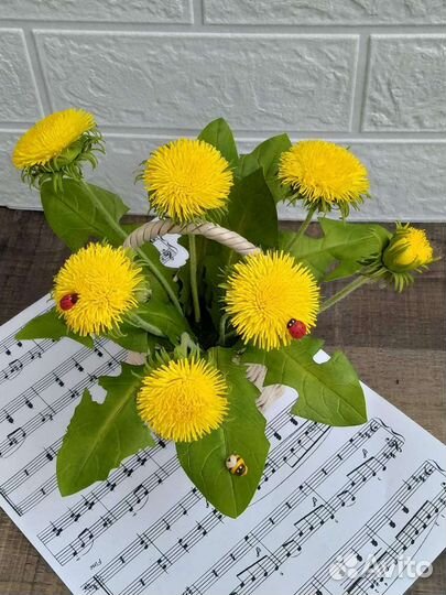 Одуванчики - интерьерные цветы