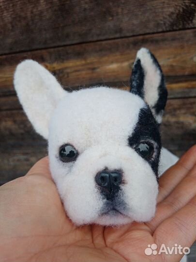 Французский бульдог