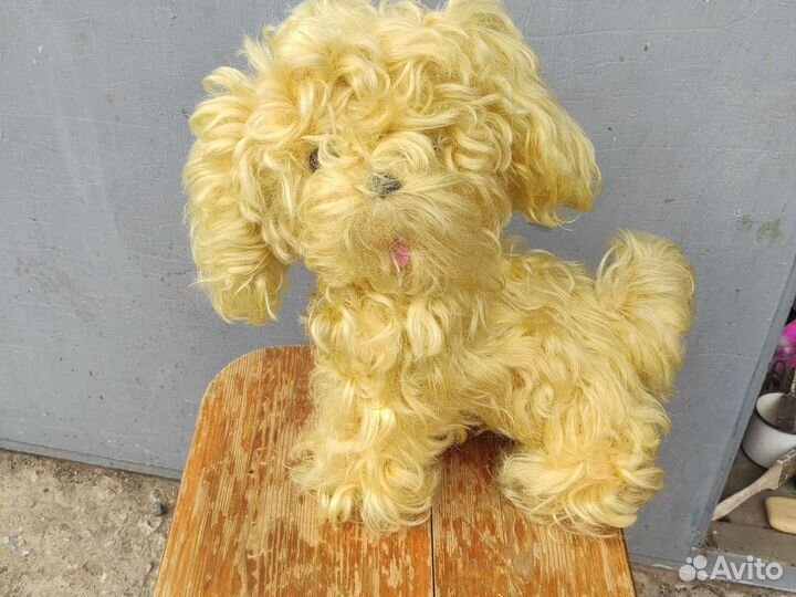 Игрушка собака СССР