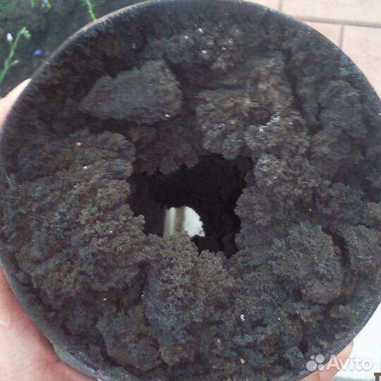 Чистка дымохода,котлов, печей, Трубочист