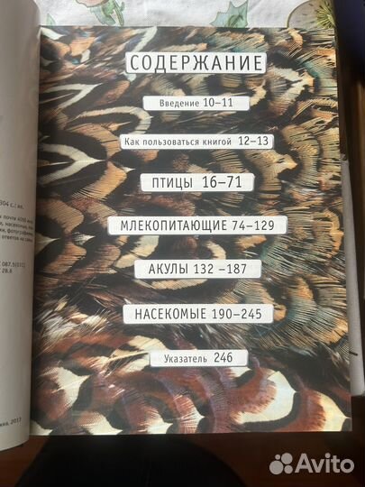Энциклопедия животные
