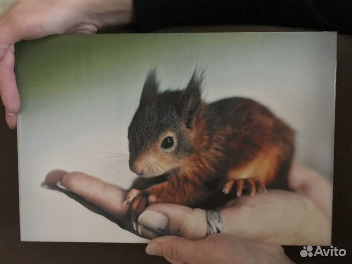 Керамическая плитка с любым изображением