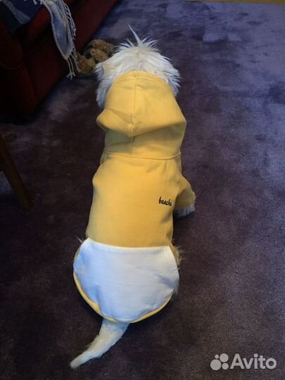 Толстовка для собак