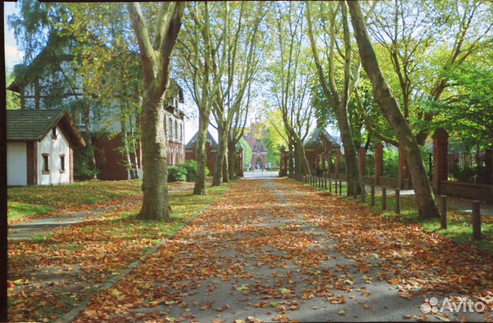 Kodak Daylight 39 кадров одноразовый фотоаппарат