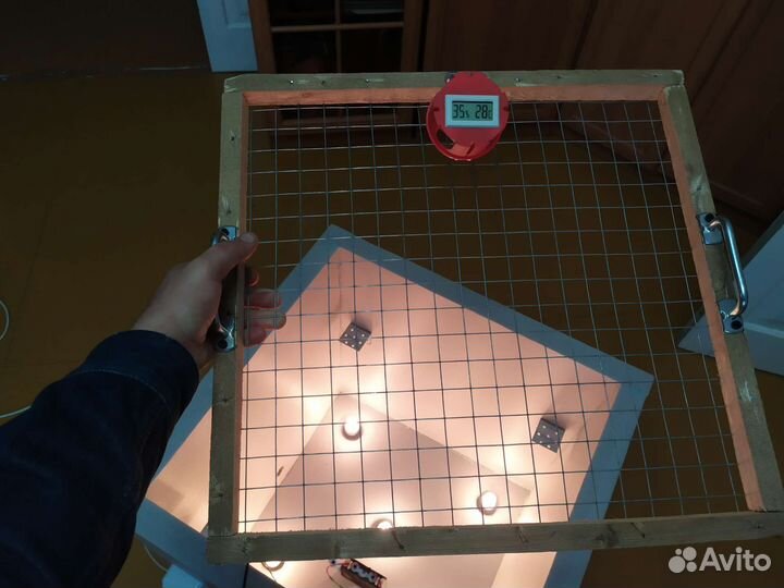 Инкубатор для яиц