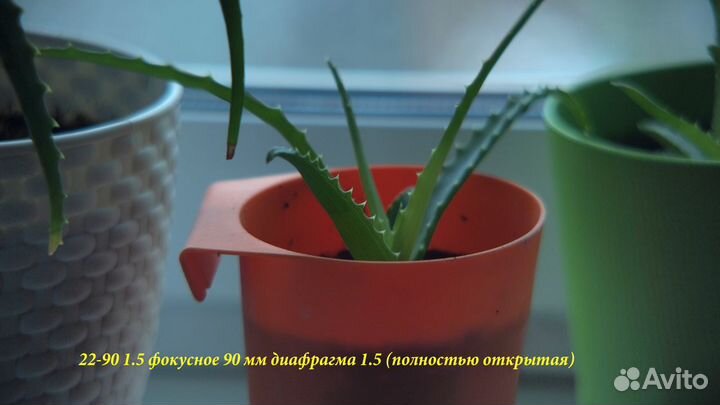 SUN 22 - 90 mm 1.5 Blackmagic MFT GH5 GX85 G9 OM-D