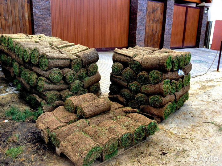 Рулонный газон производство, доставка, укладка