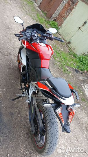 Racer Storm 250