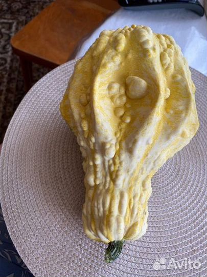 Тыква декоративная