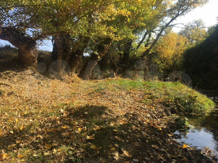 Участок 4,2 га (СНТ, ДНП)