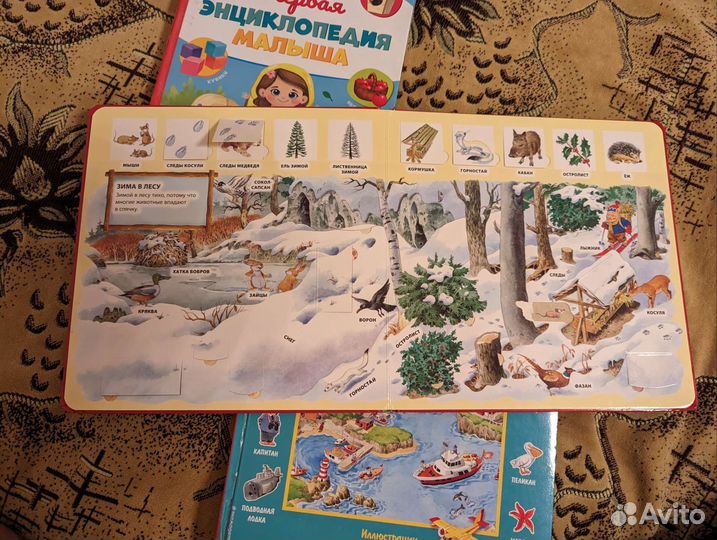 Книга 100 окошек