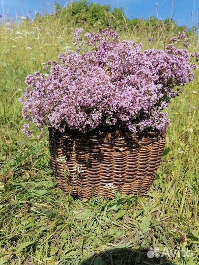 Для интерьера