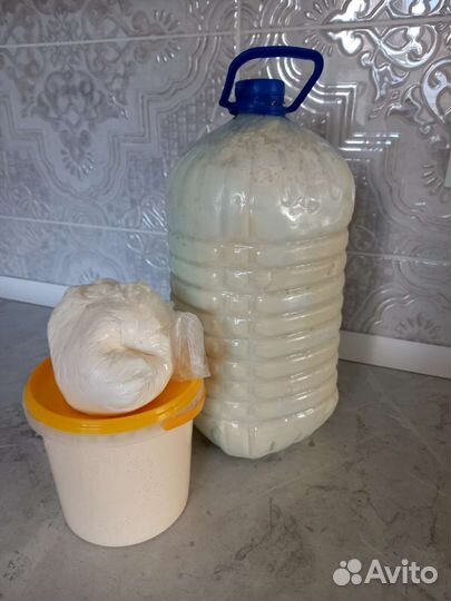 Молочные продукты