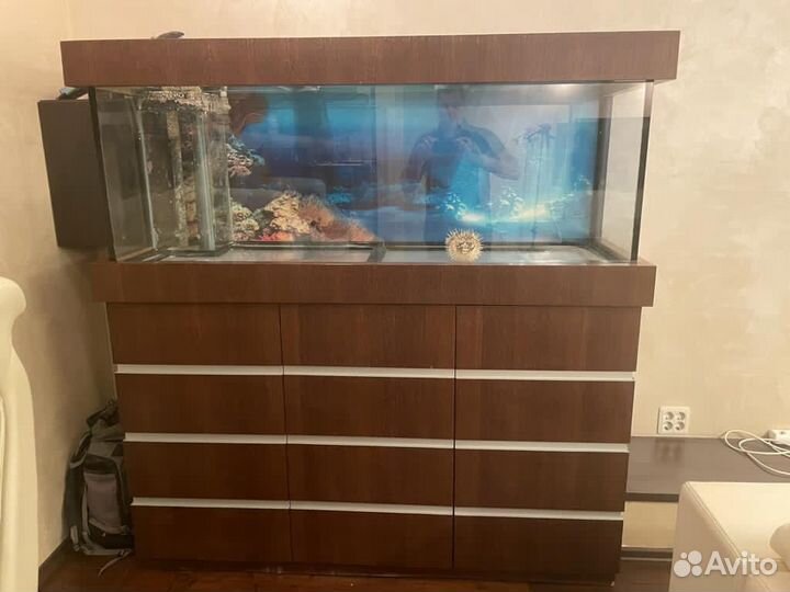 Аквариум