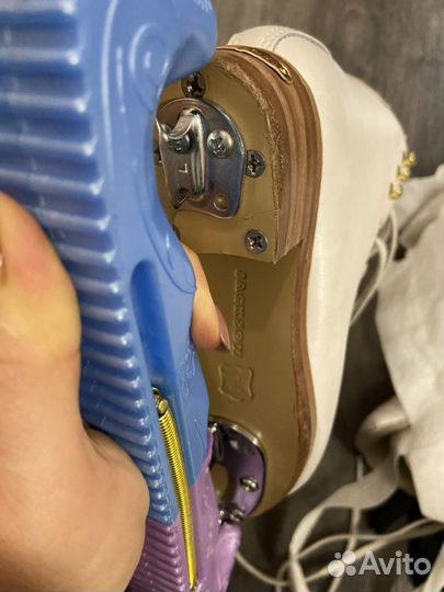 Коньки Jackson elle