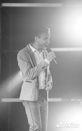 Исполнитель, вокалист-гитарист, певец