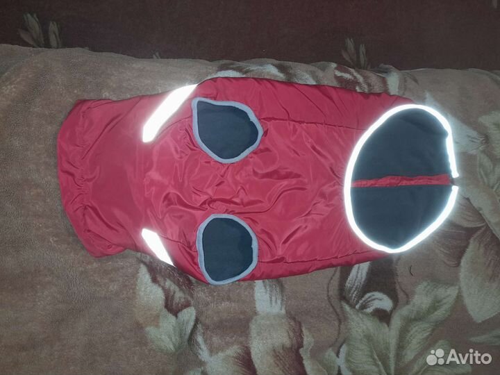 Одежда для собак