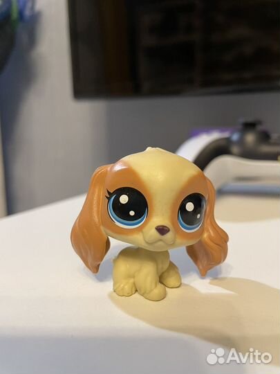 Littlest Pet Shop