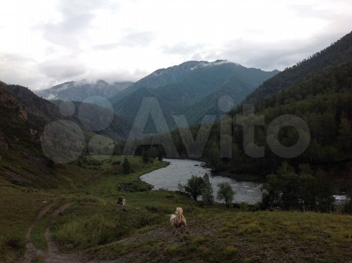 Участок 3 га (СНТ, ДНП)