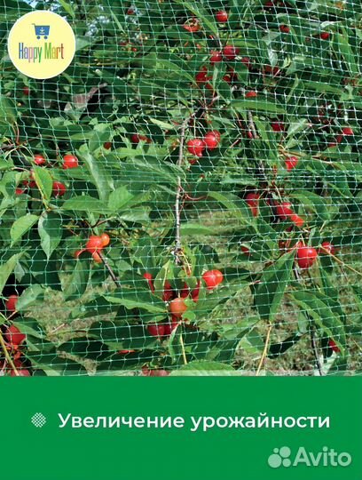 Сетка защитная от птиц