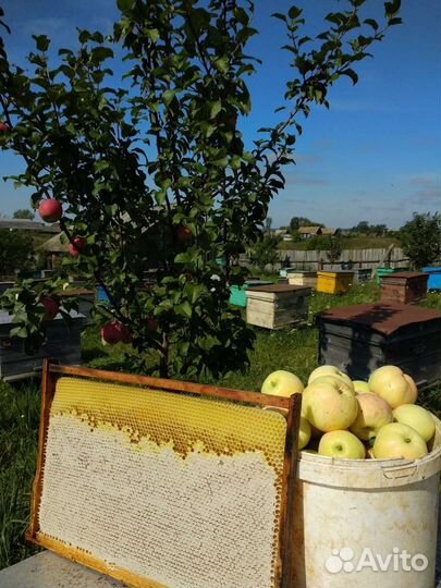 Мёд натуральный