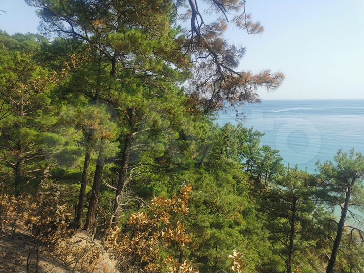 Участок 1,63 га (ИЖС)