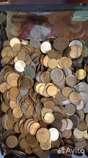 Много монет на свадьбу