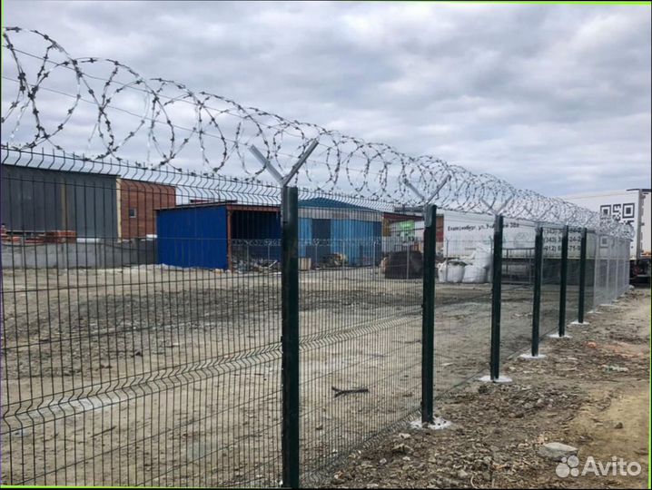 Колючая проволока Егоза, сбб, пбб