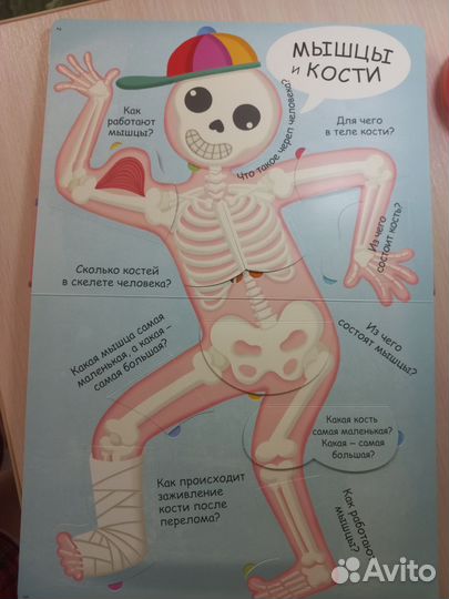 Моё тело. Робинс