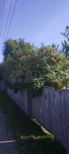 Дача 73 м² на участке 12 сот.