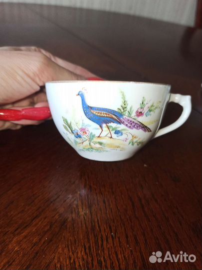 Чашка костяной фарфор