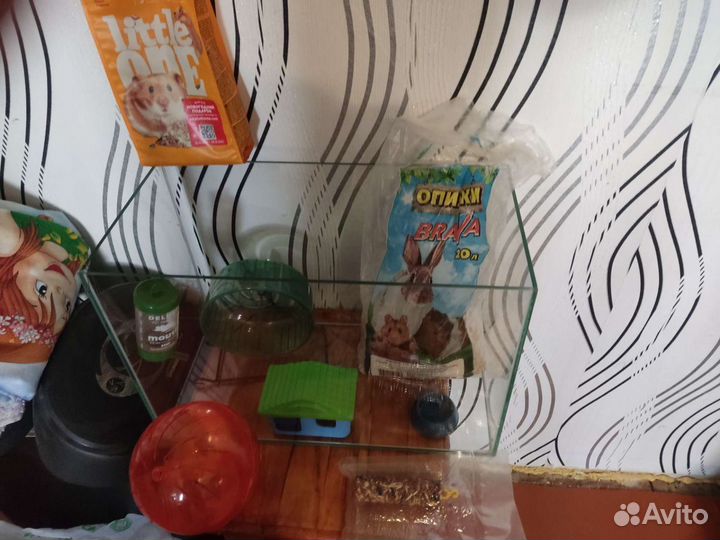 Все для хомяка