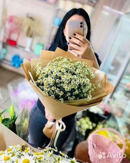 Цветы ромашки