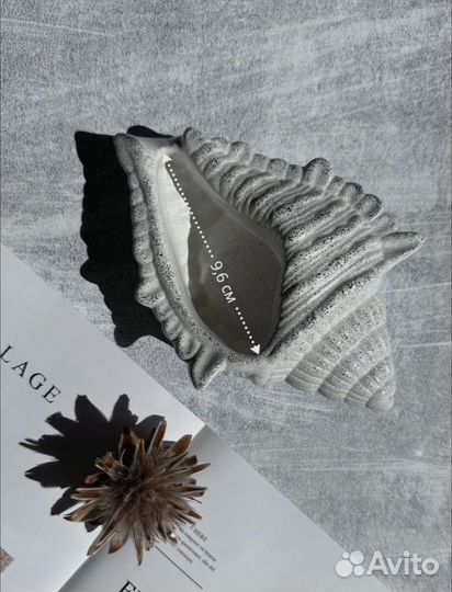 Гипсовая ракушка