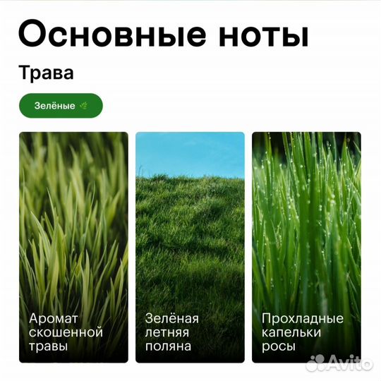 Диффузоры biblioteka aromatov