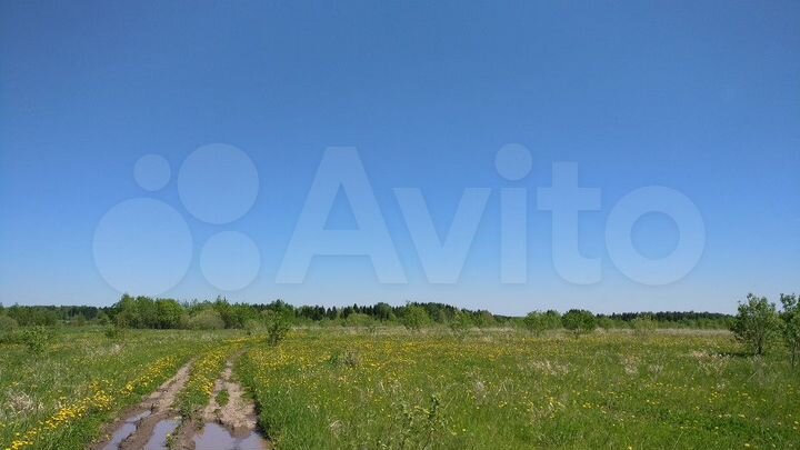 Участок 4,4 га (СНТ, ДНП)