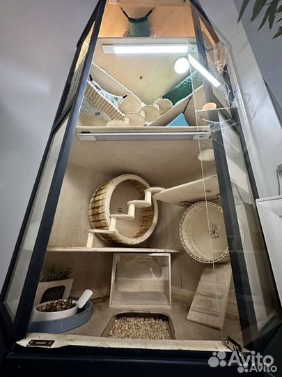 Витрина для грызунов с белками Дегу