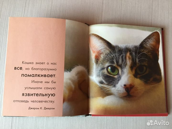 Книги о кошках
