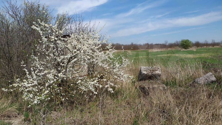 Дача 16 м² на участке 5,8 сот.