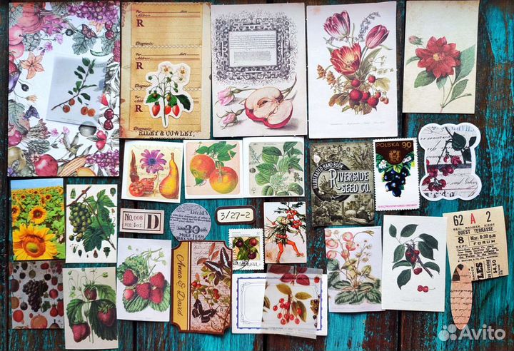 Винтажны ботанические наборы для блокнотов