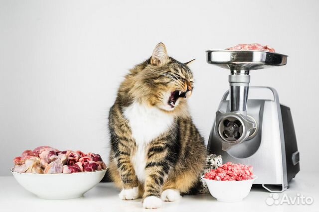 Ремонт электромясорубок в Воронеже | Услуги | Авито