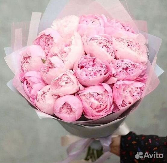 Пионы Букет