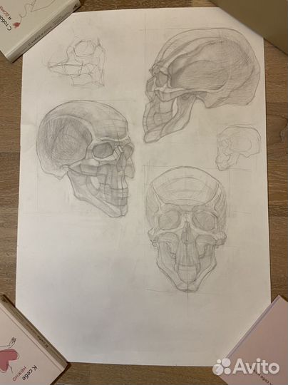 Академический рисунок, работы