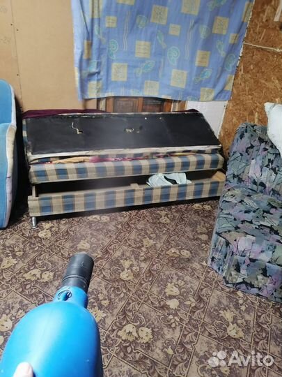 Уничтожение насекомых,запахов,плесени.Озонирование