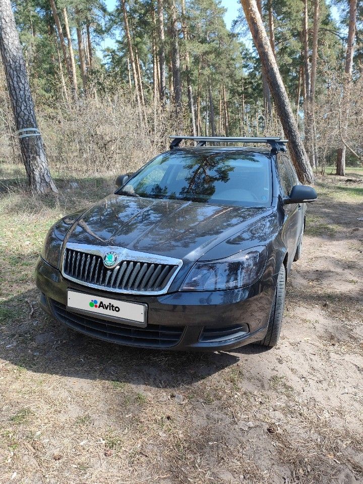 Skoda Octavia: фото владельца