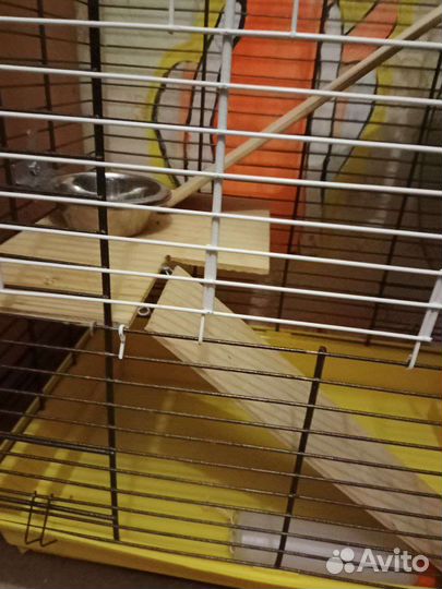 Клетка для грызунов большая
