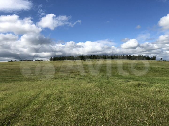 Участок 11,5 га (СНТ, ДНП)