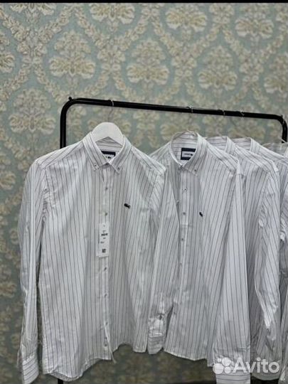 Рубашка lacoste