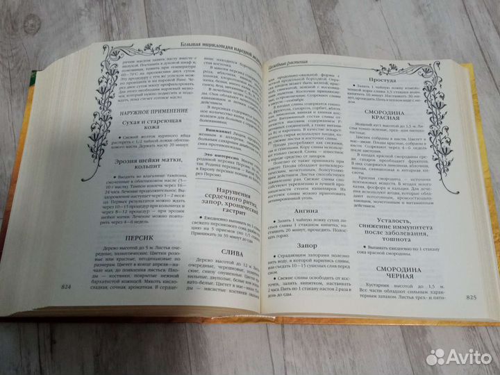 Большая энциклопедия народной медицины