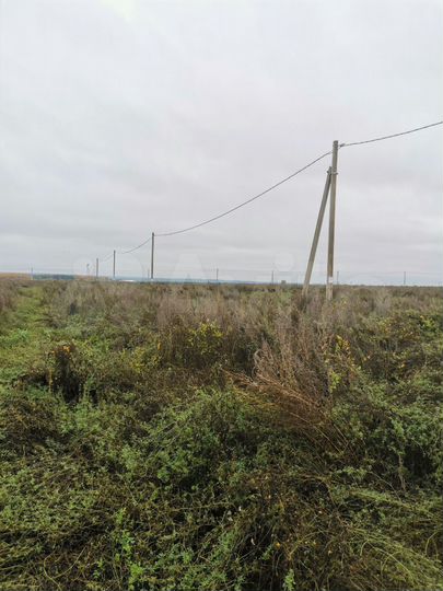 Участок 13,5 сот. (ИЖС)